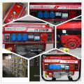 Swiss Kraft Gasoline Generator sk8500w With reasonable price